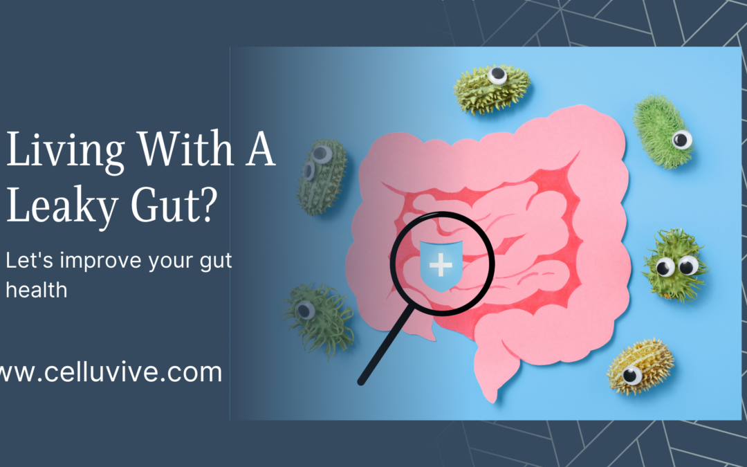 Illustration depicting intestinal permeability and leaky gut syndrome