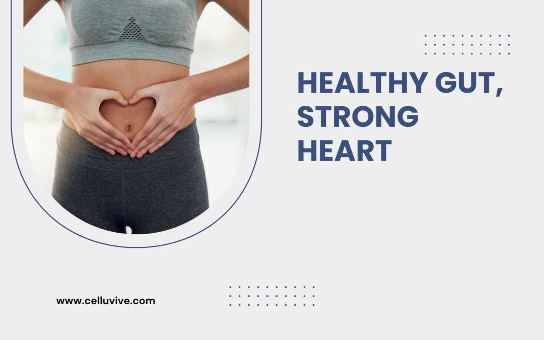The Gut-Heart Connection: How Your Gut Health Affects Your Heart
